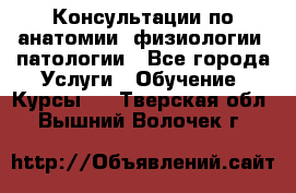 Консультации по анатомии, физиологии, патологии - Все города Услуги » Обучение. Курсы   . Тверская обл.,Вышний Волочек г.